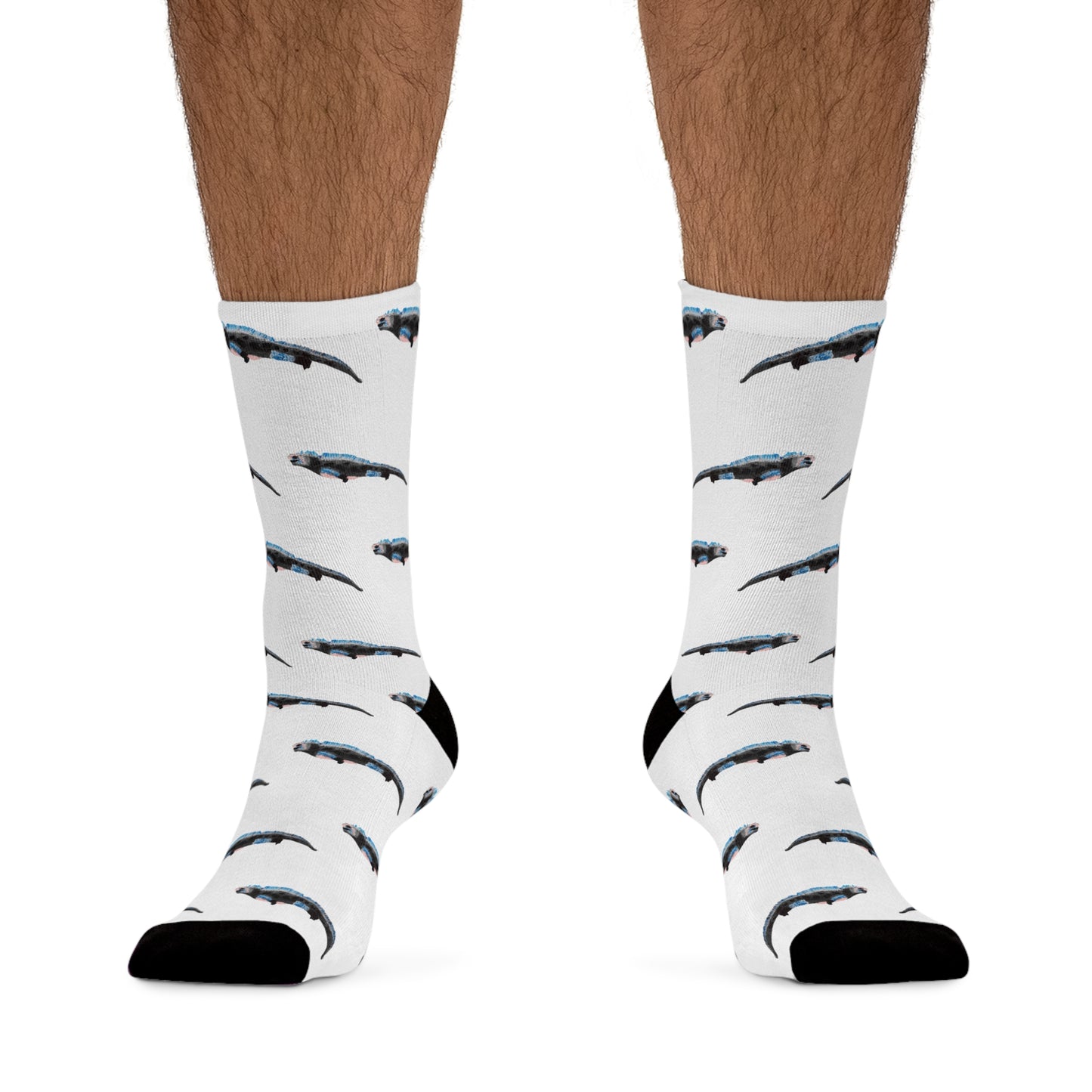 Marine Iguana Print Socks | Eco-Friendly, Fun Gift for Nature Lovers, Colorful Crew Socks, Stylish Recycled Footwear