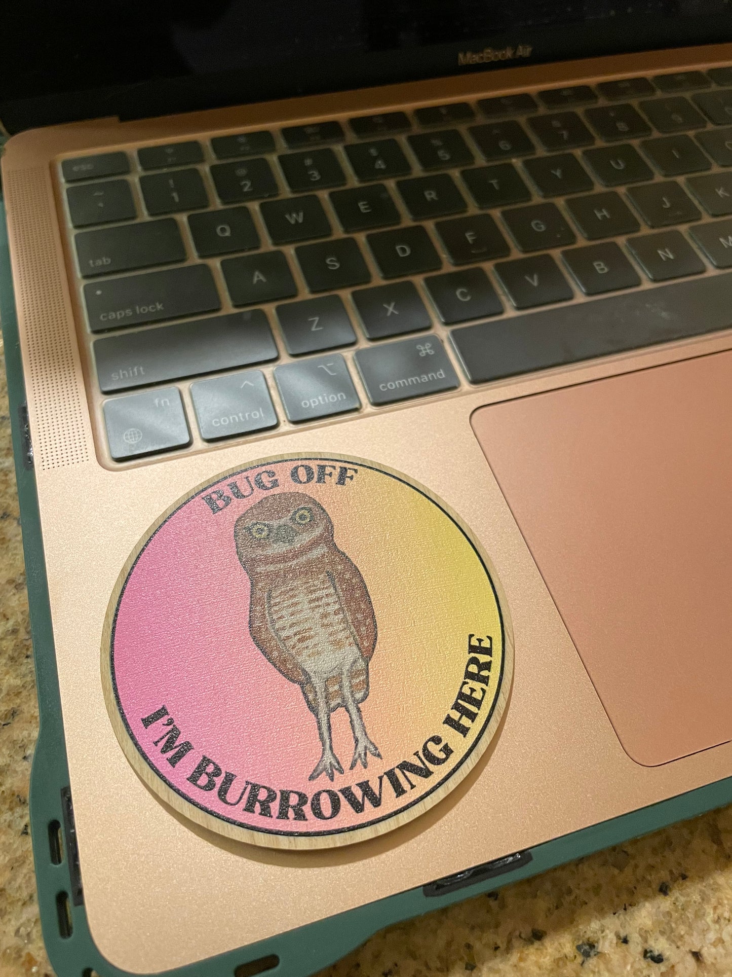 Burrowing Owl Wooden Sticker