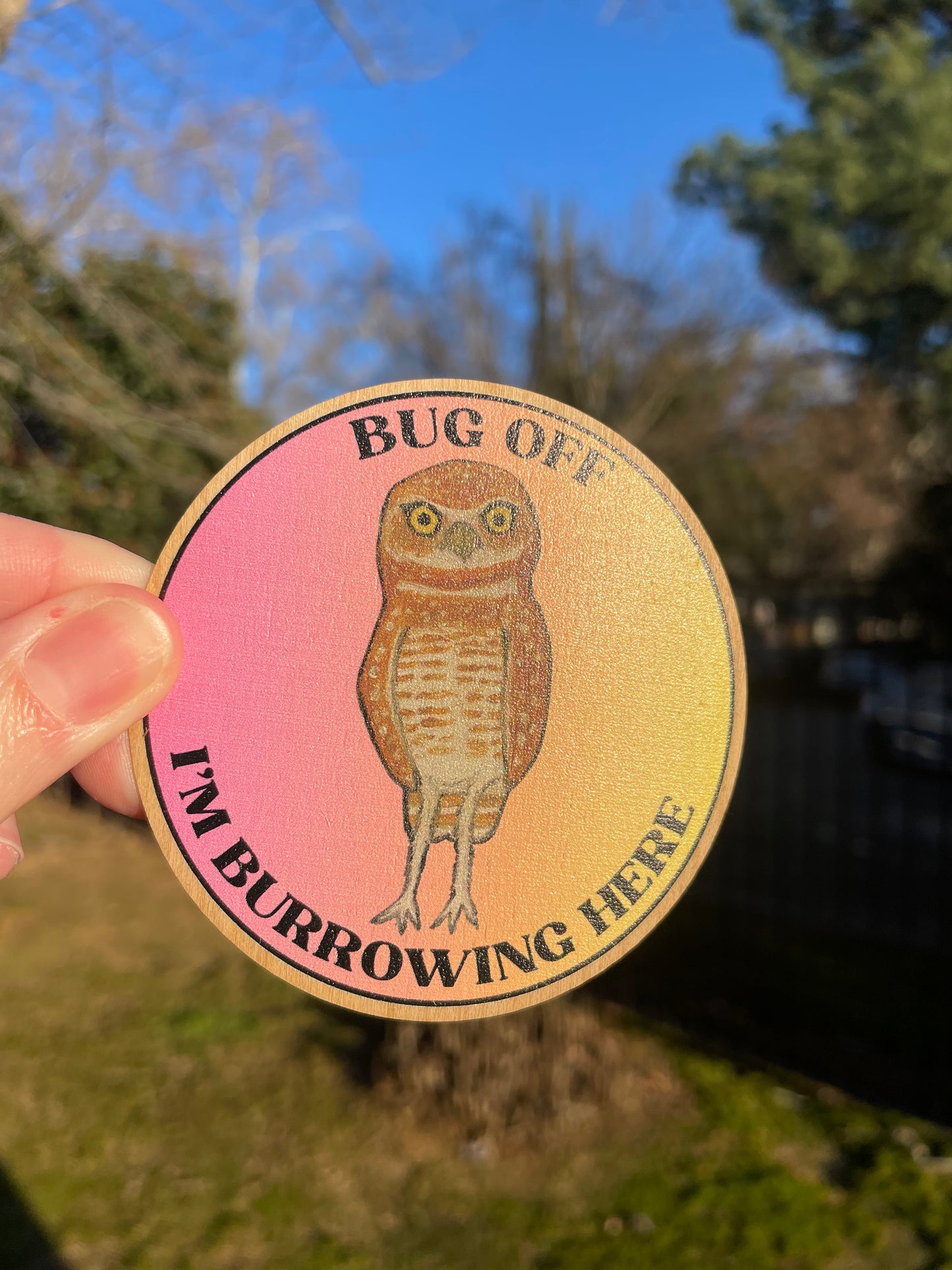 Burrowing Owl Wooden Sticker