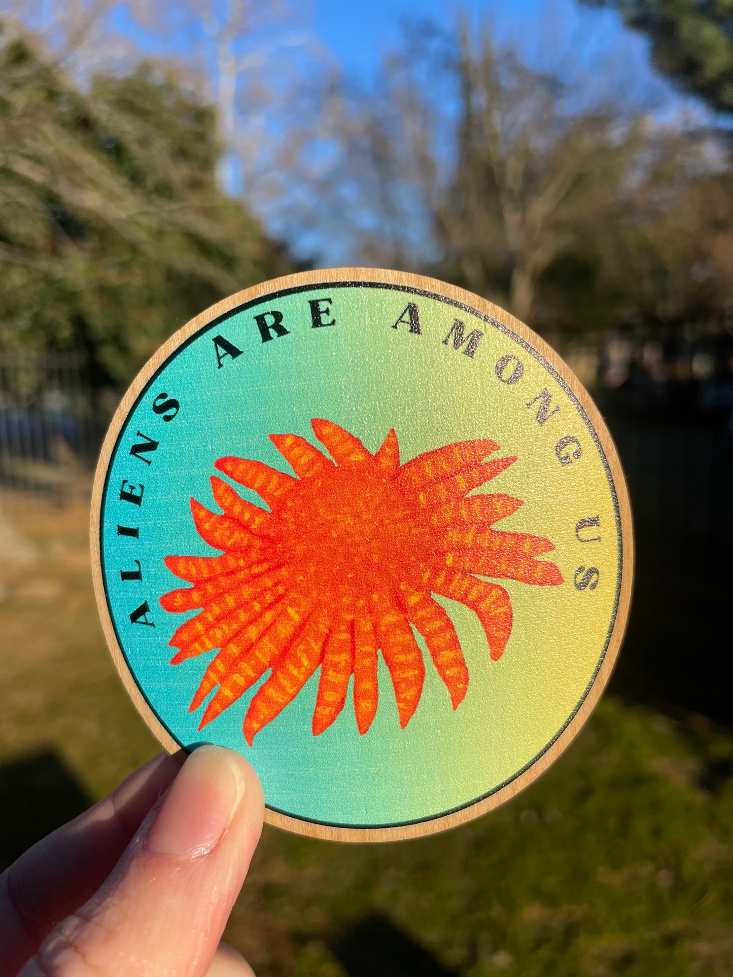 Sunflower Star Wooden Sticker