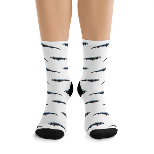 Marine Iguana Print Socks | Eco-Friendly, Fun Gift for Nature Lovers, Colorful Crew Socks, Stylish Recycled Footwear
