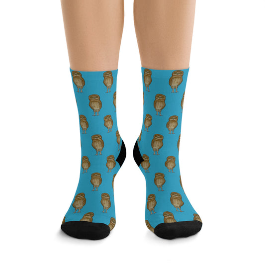 Burrowing Owl Print Socks | Eco-Friendly, Fun Gift for Nature Lovers, Colorful Crew Socks, Stylish Recycled Footwear