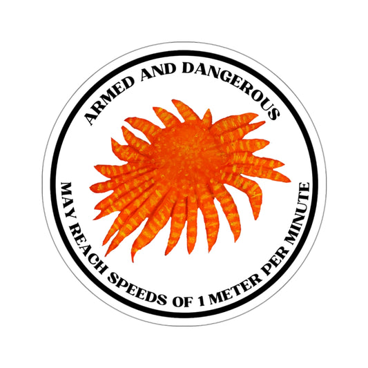 Sunflower Sea Star Sticker - Armed and Dangerous